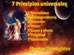 7-principios-universales