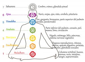 chakras-y-organos-pequeno